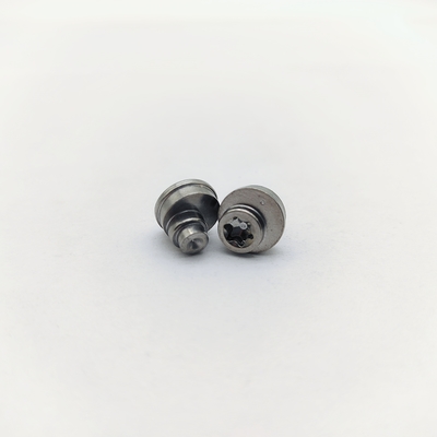 316 स्टेनलेस स्टील Torx सनकी पेंच M2-M6 ±0.5mm ऑफसेट
