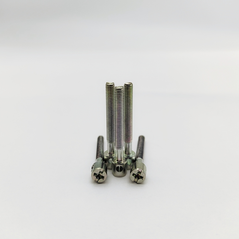 316 स्टेनलेस स्टील समुद्री ग्रेड मीटर पेंच - छेड़छाड़ प्रूफ M4 M5 M6